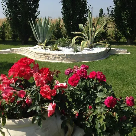 Hotel Bussana Porto Tolle