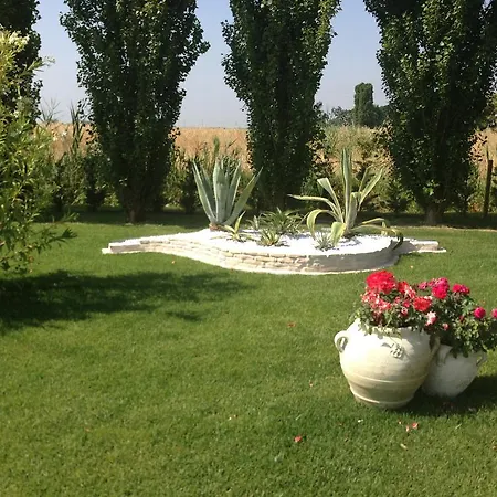 Hotel Bussana 3*